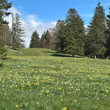 Eifel Nature Retreat, Hallschlag, Cleaning Included